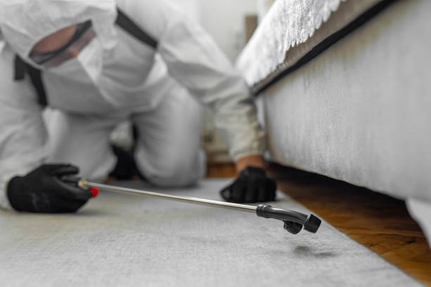 Professional Bed Bug Control technician working in Providence, KY