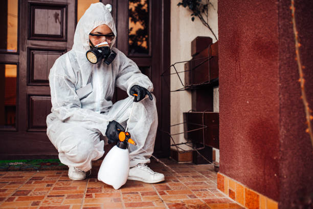 Reliable Bed Bug Control contractor in Providence, KY by Nex Pest Control